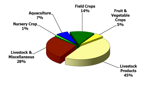 Pie Chart On Agriculture In India