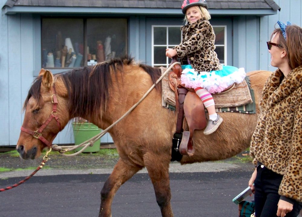 happy-young-rider-woman