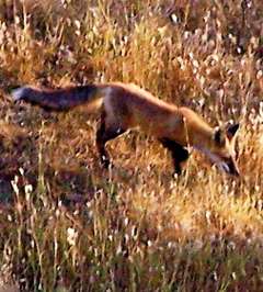 100_0904_11.jpg 100_0904_11.jpg