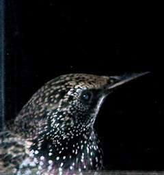 100_5799_1.jpg 100_5799_1.jpg