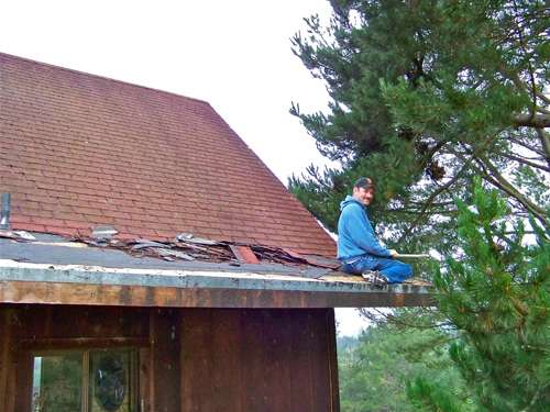 Terry-and-shingles