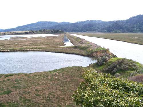 Bivalve-to-Railroad-Point