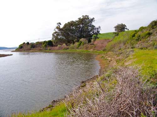 roadbed-north-of-Bivalve