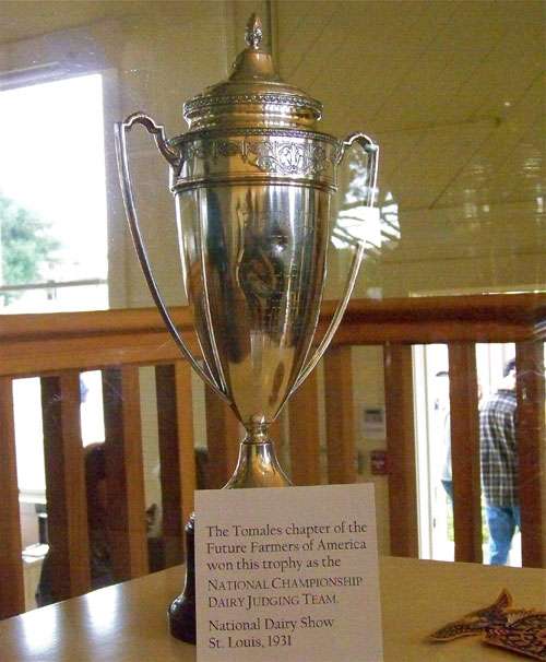 FFA-trophy