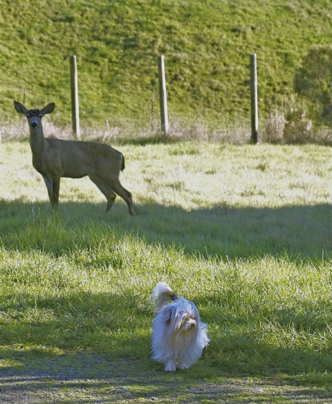 sebastian-doe_2 sebastian-doe_2