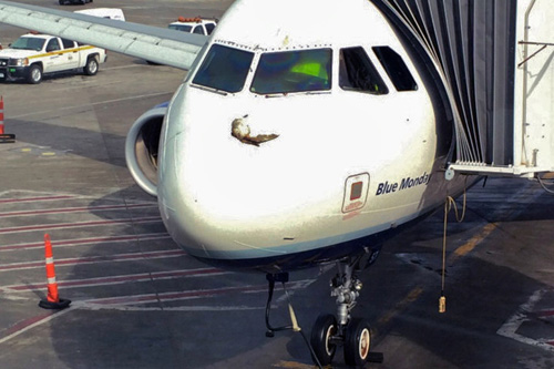jetblue