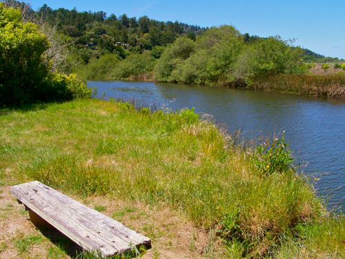 bench-in-open