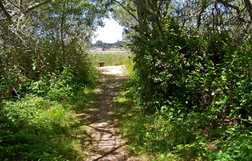 side-path