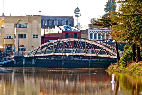 Pet-bridge