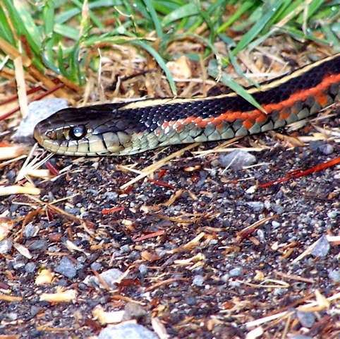 000_0094_12.jpg 000_0094_12.jpg