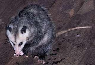 100_2499_1.jpg 100_2499_1.jpg