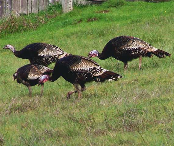 100_2756_11.jpg 100_2756_11.jpg