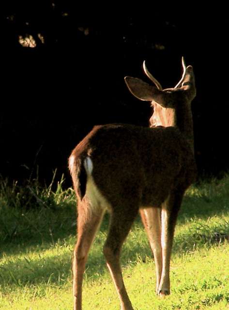 100_2864_1.jpg 100_2864_1.jpg