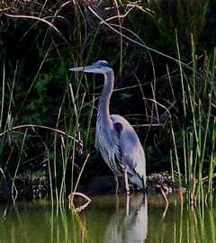 100_2631_1_1.jpg 100_2631_1_1.jpg