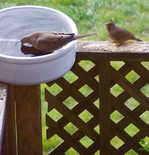 100_3013.jpg 100_3013.jpg