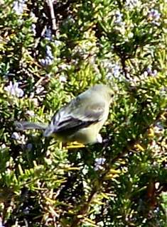 100_5405_1.jpg 100_5405_1.jpg