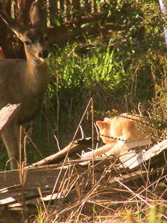 100_1080.jpg 100_1080.jpg