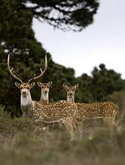 2082275718_842210215e_m1.jpg 2082275718_842210215e_m1.jpg