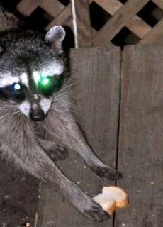 100_7621.jpg 100_7621.jpg