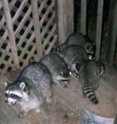 100_7758_1.jpg 100_7758_1.jpg