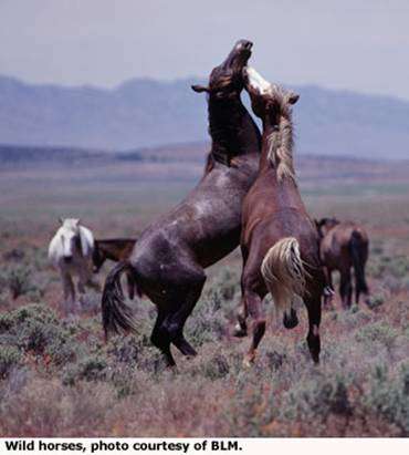 image002.jpg image002.jpg