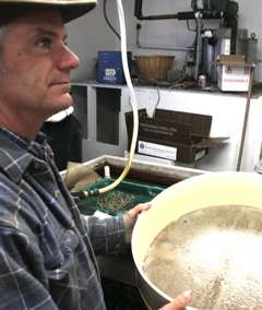 oysters.jpg oysters.jpg