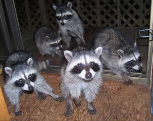 100_0234.jpg 100_0234.jpg