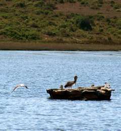 100_0291.jpg 100_0291.jpg