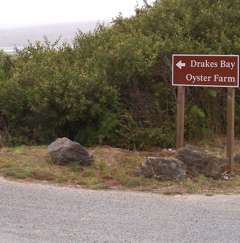 100_0385.jpg 100_0385.jpg