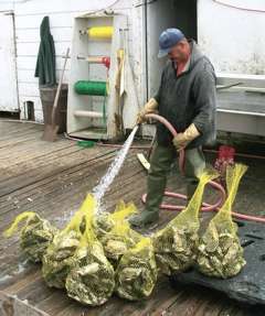 100_0387.jpg 100_0387.jpg