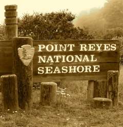 100_0417_11.jpg 100_0417_11.jpg