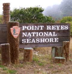 100_0417_1.jpg 100_0417_1.jpg