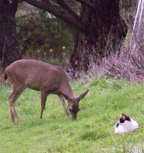 100_1555_1 100_1555_1