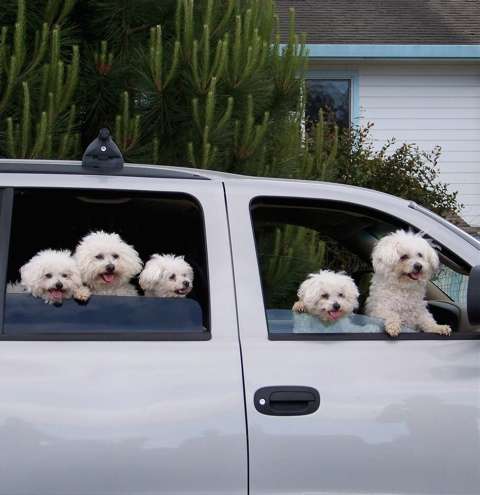 100_2213_1 100_2213_1