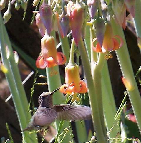 100_2428_1_11 100_2428_1_11