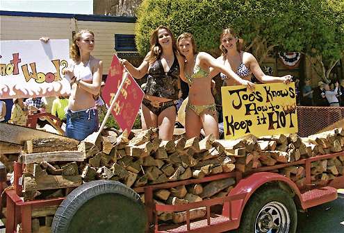 firewood41 firewood41