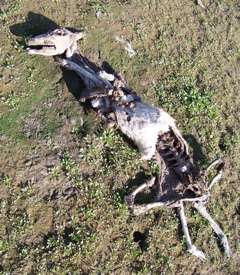 100_3223_3 100_3223_3