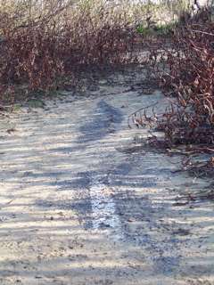 100_3266_1 100_3266_1