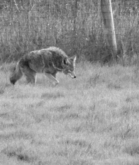 100_3343_1_1_1 100_3343_1_1_1