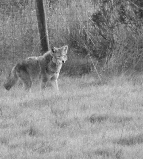 100_3344_1_1_1 100_3344_1_1_1