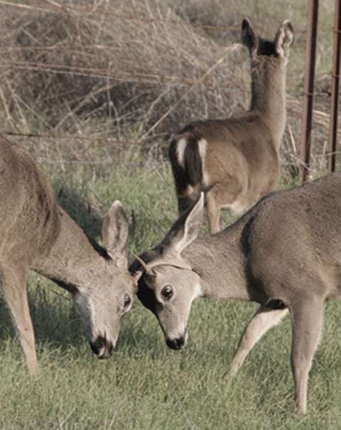 IMG_9323_1 IMG_9323_1