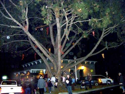 tree-lighting