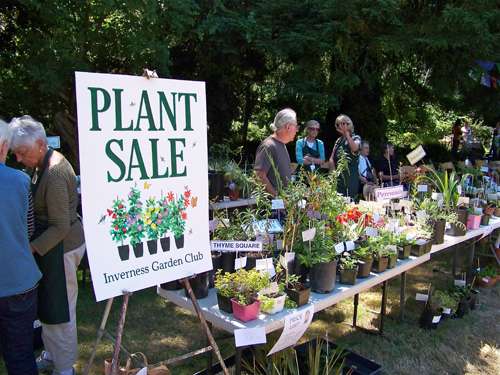 plant-sale