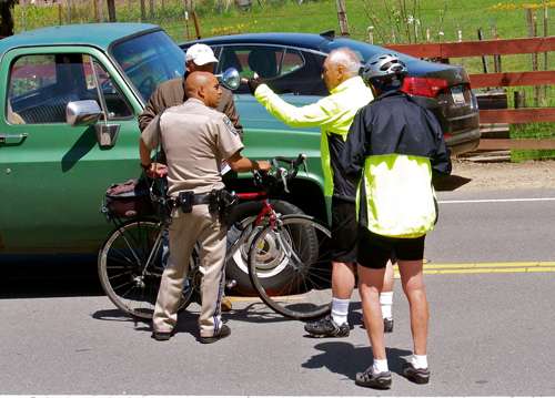 bicyclist-companions