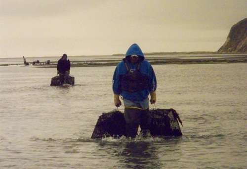 gathering-the-harvest